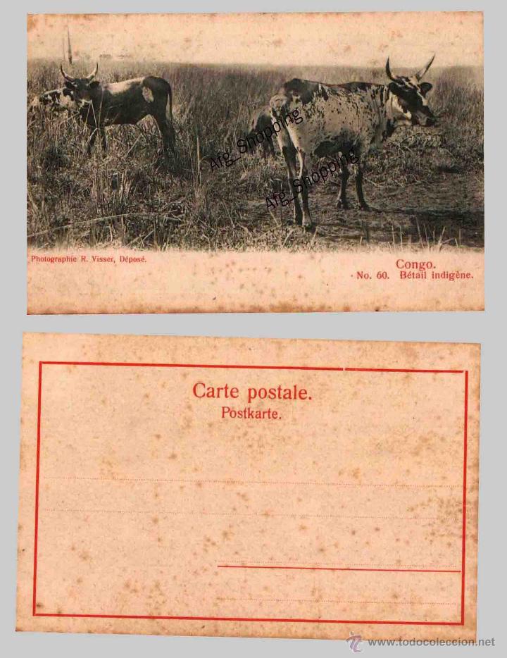 Cartes Postales: CONGO - B&Eacute;TAIL INDIG&Eacute;NE - Photographie R. Visser - Old postcard