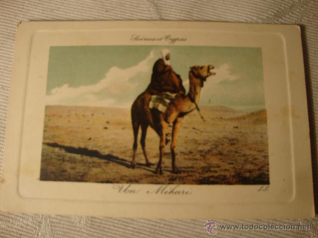 Postais: ANTIGUA POSTAL