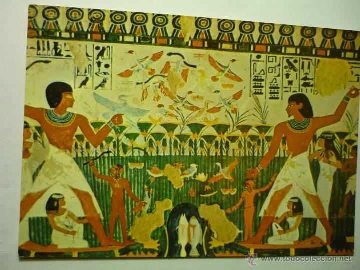 Cartes Postales: postal egipto---cm