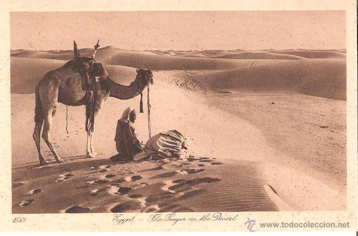 Cartes Postales: egypt the prayer in the desert