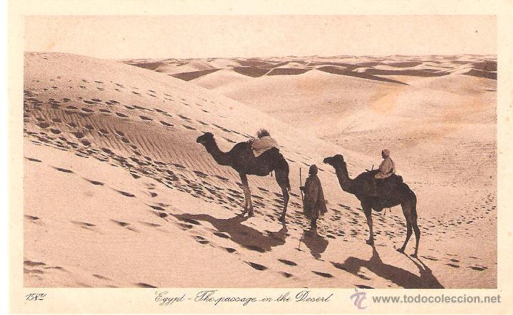 Cartes Postales: egypt the passage in the desert