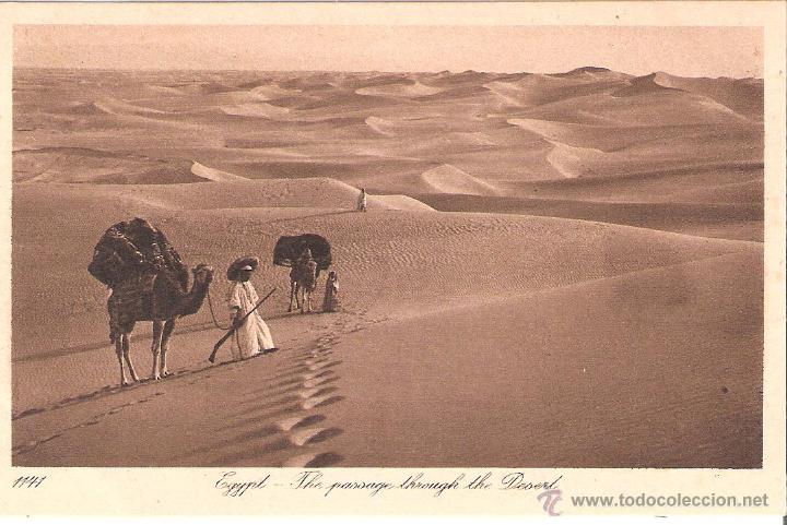Cartes Postales: egypt the passage through the desert