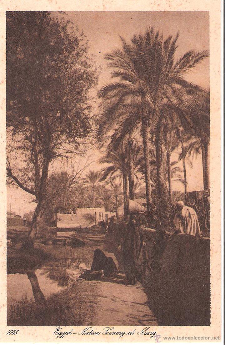 Cartes Postales: egypt native scenery at marg