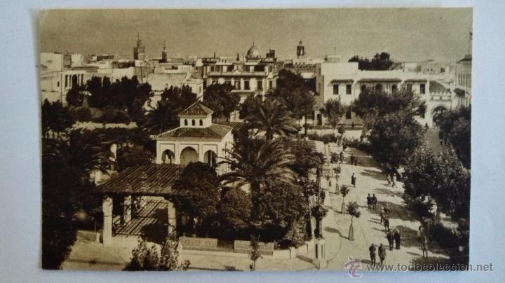 Cartes Postales: ANTIGUA POSTAL, TETUAN- PLAZA DE ESPA&Ntilde;A, L. ROISIN, FOTOGRAFO
