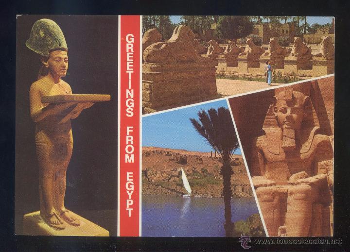 Cartes Postales: Egipto. *Greetings...* Sin datos editor. Escrita.