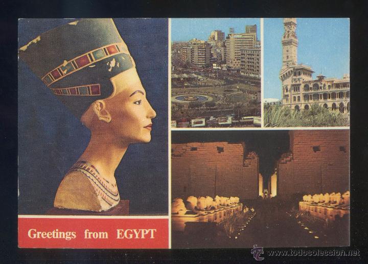 Cartes Postales: Egipto. *Greetings...* Sin datos editor. Nueva.