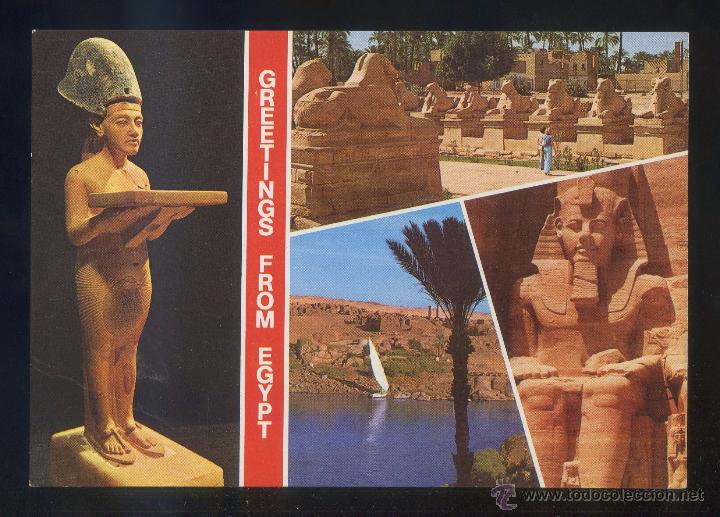 Cartes Postales: Egipto. *Greetings...* Sin datos editor. Nueva.