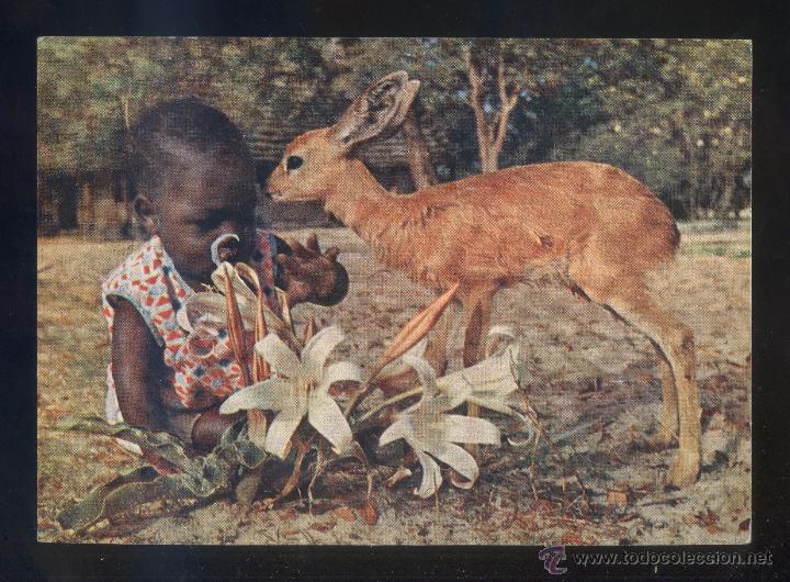 Cartoline: &Aacute;frica. *Ambomalla Lounais-Afrikassa* Sin datos editor. Circulada 1968.