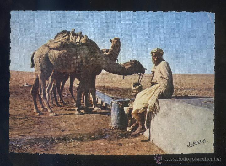 Postales: Argelia. *Sud Algerien. Un point d'Eau* Ed. Jomone n&ordm; 410. Escrita.