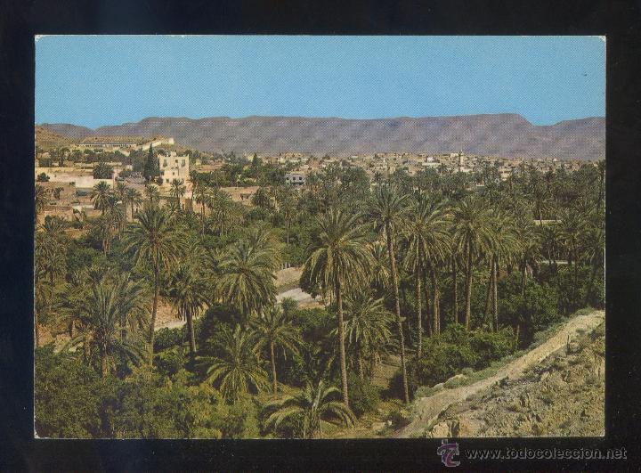 Postales: Argelia. Bou-Saada. *Vue g&eacute;n&eacute;rale* Ed. S.N.E.D. n&ordm; 3134. Nueva.