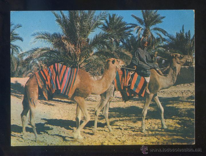 Postales: Marruecos. Sahara. *March&eacute; dans l'oasis* Circulada 1983.
