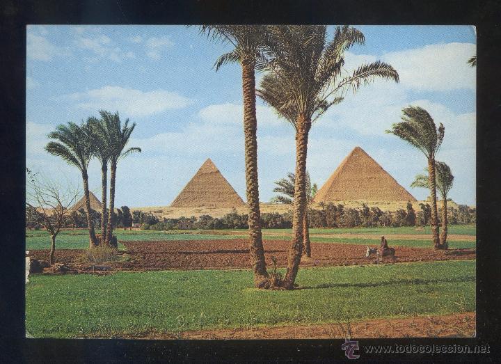 Postais: Egipto. Giza. *The Pyramids* Ed. Lehnert & Landrock n&ordm; 74. Nueva.