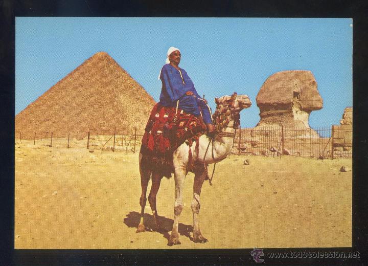 Postais: Egipto. Giza. *Camel driver...* Sin datos editor. Nueva.