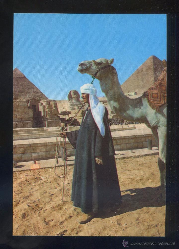 Postais: Egipto. Giza. *The Sphinx...* Sin datos editor. Nueva.