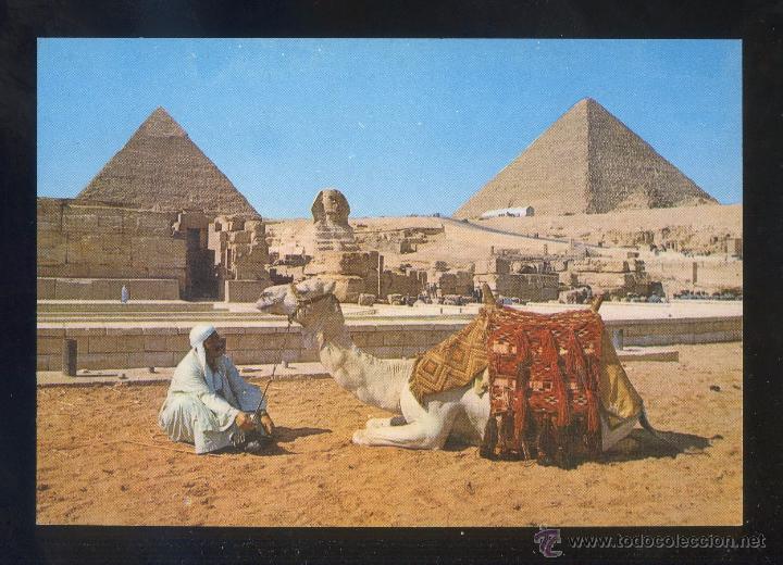 Postkarten: Egipto. Giza. *The Sphinx...* Sin datos editor. Nueva.
