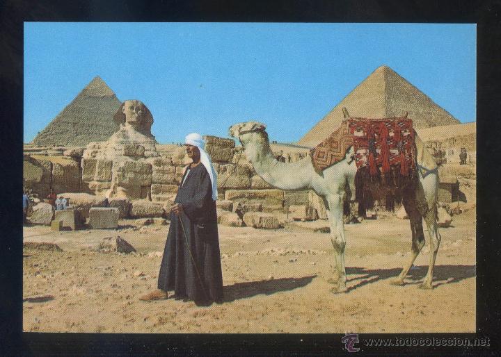 Postkarten: Egipto. Giza *The Sphinx...* Sin datos editor. Nueva.