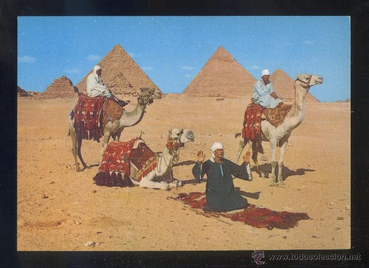 Postais: Egipto. Giza. *Arab Camelriders...* Sin datos editor. Nueva.