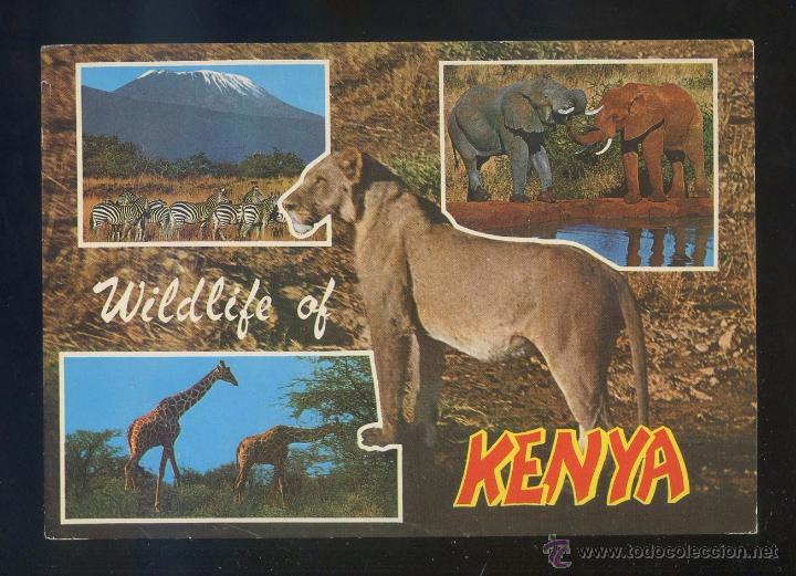 Postkarten: Kenia. *Safari through Game Parks* Ed. Kenya Stationers n&ordm; 122. Circulada 1979.