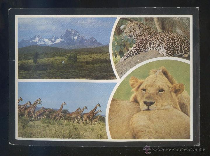 Postkarten: Kenia. *Popular Kenya Scenes* Ed. Kall Kwik n&ordm; M-2052. Escrita.