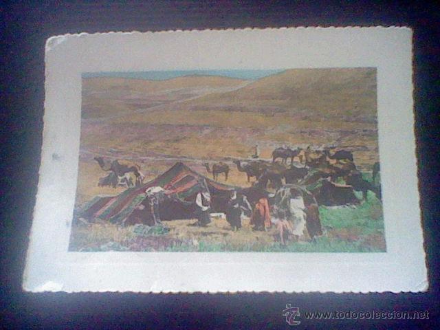 Postkarten: postal SCENES ET TYPES TENTES NOMADES A TEBESSA N&ordm; 200 ED JOMONE S/C ANIMADA COLOREADA SOBADA  *B48