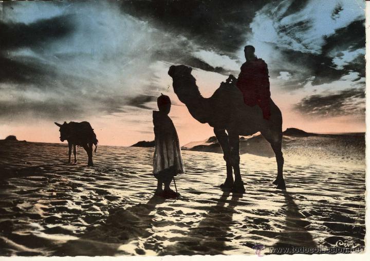Postales: MAGNIFICA POSTAL TIPICA DE MARRUECOS