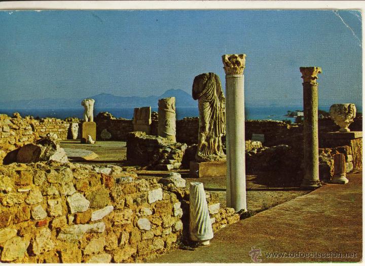 Postales: MAGNIFICA POSTAL  CARTHAGE VILLE ROMAINE