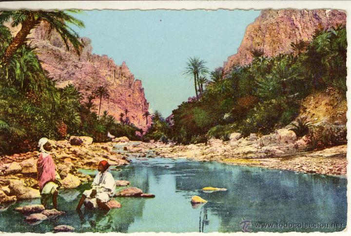 Postales: MAGNIFICA POSTAL  ESCENAS TIPICAS DE AFRICA DEL NORTE