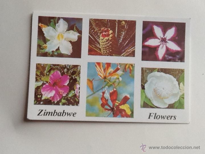 Postales: POSTAL SIN CIRCULAR. FLORES DE  ZIMBAWE. ENVIO INCLUIDO EN EL PRECIO.
