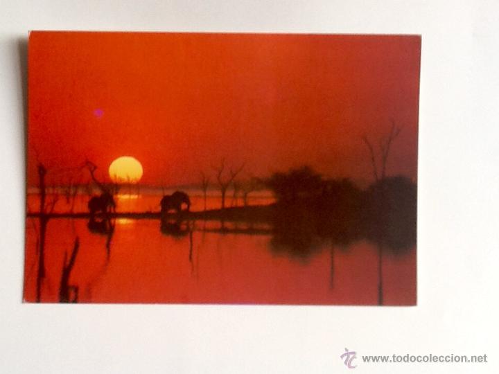 Postales: POSTAL SIN CIRCULAR. ELEFANTES AL CAER EL SOL. ZIMBAWE. ENVIO INCLUIDO EN EL PRECIO.