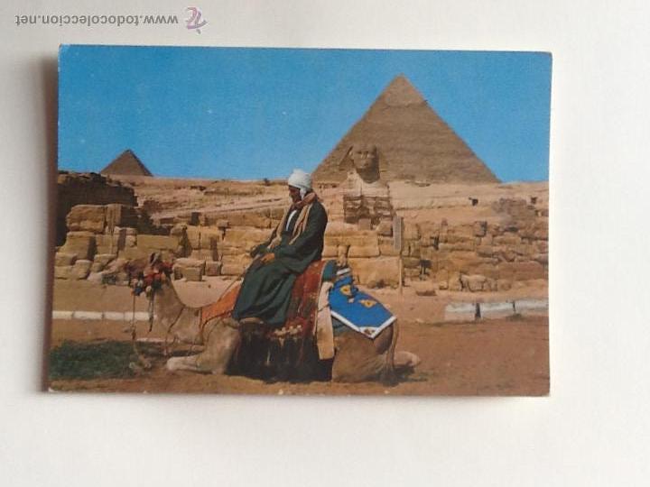 Cartes Postales: POSTAL. EGIPTO. SIN CIRCULAR.. ENVIO INCLUIDO EN EL PRECIO.
