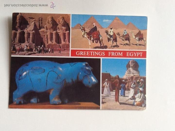 Cartes Postales: POSTAL. EGIPTO. SIN CIRCULAR.. ENVIO INCLUIDO EN EL PRECIO.