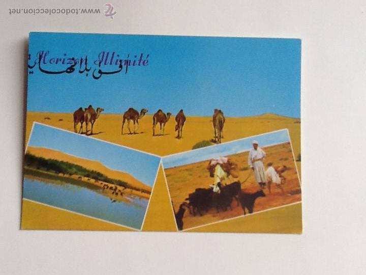 Cartes Postales: POSTAL. TUNEZ. SIN CIRCULAR. ENVIO INCLUIDO EN EL PRECIO.