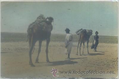 Cartes Postales: POSTAL DE MARRUECOS. TIPOS DEL PAIS   P-AFyMA-539