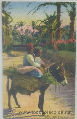 Cartes Postales: POSTAL DE MARRUECOS. TROIS AMIS N&ordm; 1253   P-AFyMA-540