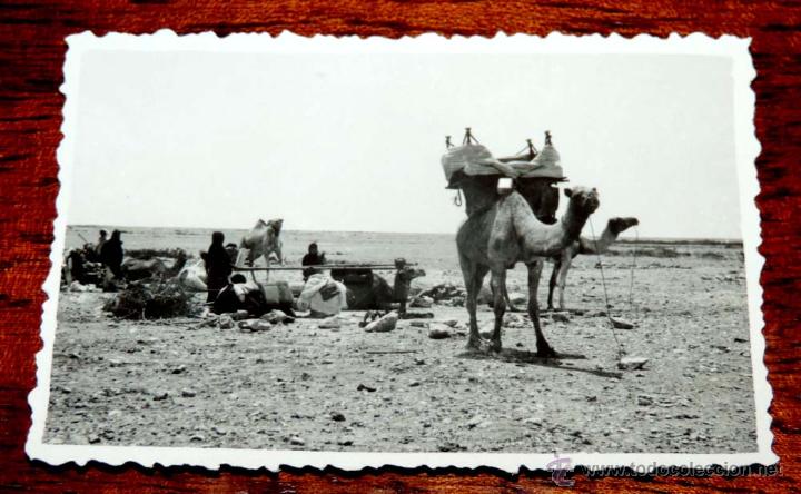 Postais: FOTOGRAFIA DE SIDI IFNI, SAHARA, 1950, MIDE 8,8 X 6 CMS