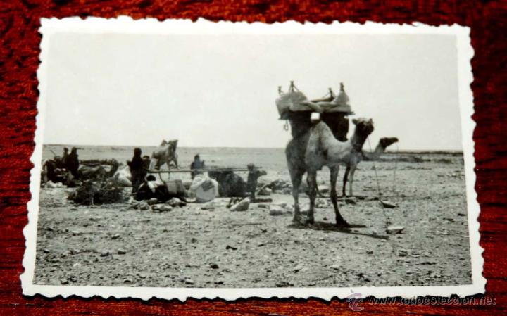Postais: FOTOGRAFIA DE SIDI IFNI, ARGUB, SAHARA, 1950, MIDE 8,8 X 6 CMS