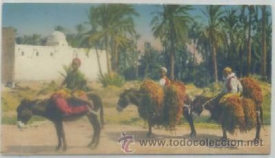 Cartes Postales: POSTAL DE MARRUECOS. TIPOS DEL PAIS   P-AFyMA-551