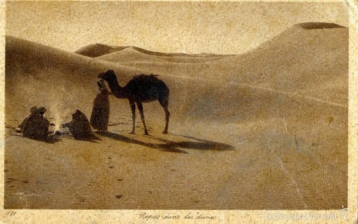 Cartes Postales: REPOS DANS LES DUNES, REPOSO EN LAS DUNAS POSTAL NO CIRCULADA LEMNERT&LANDDROK 1920 09X14CM