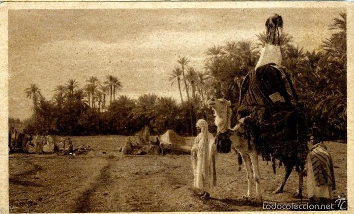 Cartes Postales: L'ARRIV&Eacute; DANS L'OASSIS / LLEGADA AL OASIS  POSTAL NO CIRCULADA LEMNERT&LANDDROK 1920 09X14CM