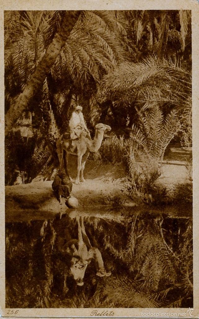 Cartes Postales: RELLETS / REFLEJOS, POSTAL NO CIRCULADA LEMNERT&LANDDROK 1920 09X14CM