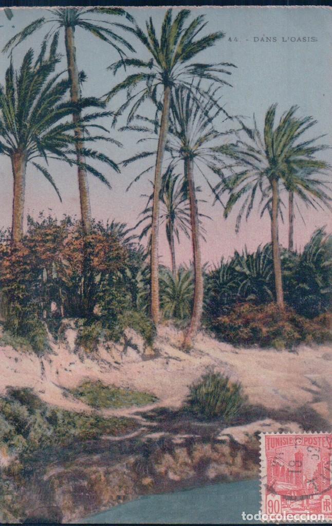 Cartoline: TUNISIE DANS OASIS. 44 EMT