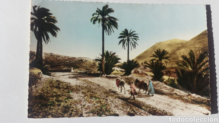Cartes Postales: Postal SCENES ET TYPES DU MAROC  574 BIS  TYPES DU SUD. SUR LA PISTE