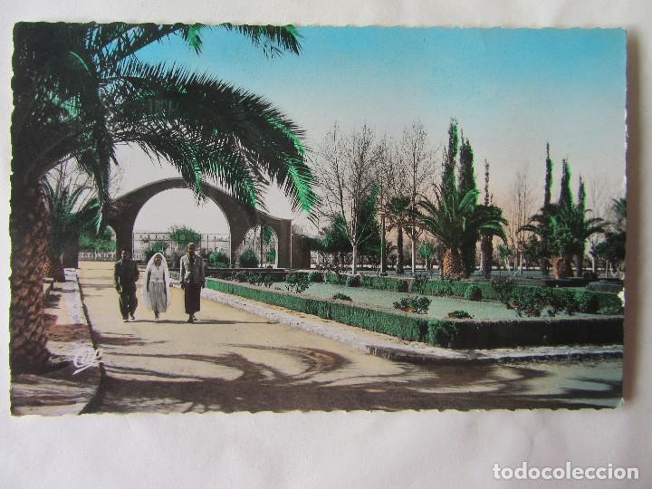 Cartes Postales: POSTAL OUJDA ALGERIE. A&Ntilde;OS 60