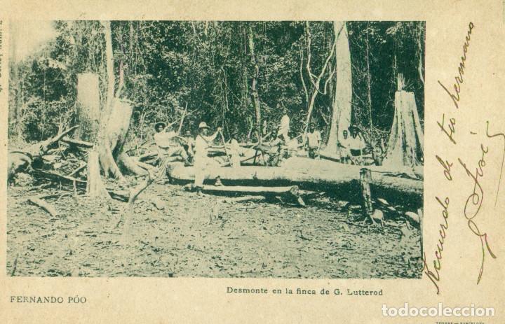 Postales: GUINEA ESPA&Ntilde;OLA  ISLA DE FERNANDO POO  DESMONTE FINCA. ENVIADA HACIA 1905.