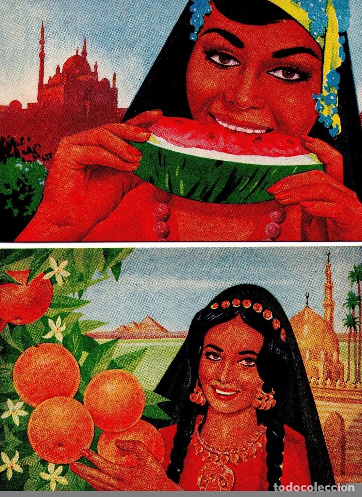 Postales: EGIPTO. 2 CARTAS POSTALES. (106) - Foto 1