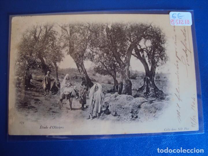 Postcards: (PS-51210)POSTAL DE ETUDE D&acute;OLIVIERS