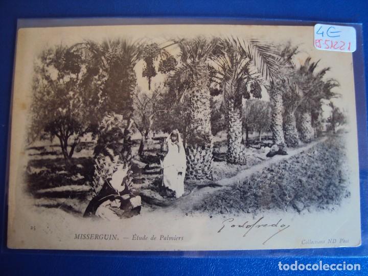 Postcards: (PS-51221)POSTAL DE MISSERGUIN-ETUDE DE PALMIERS