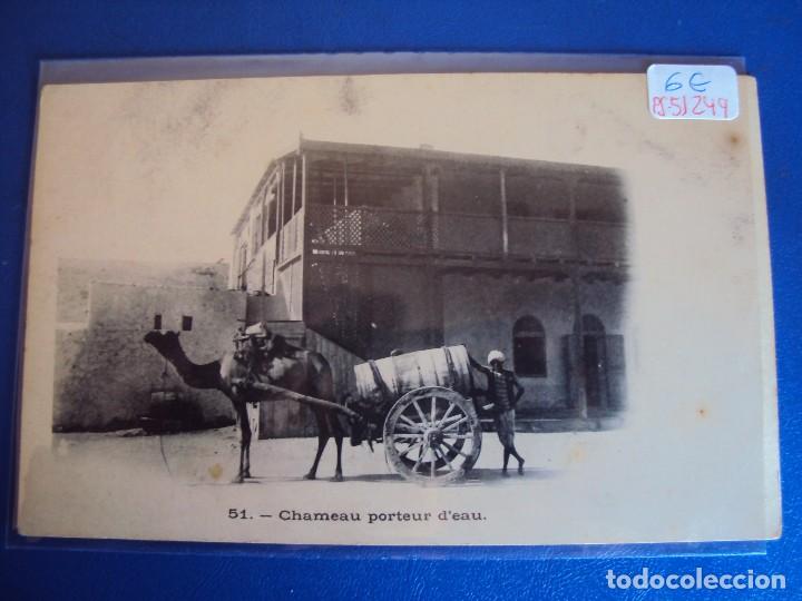 Cartoline: (PS-51249)POSTAL CHAMEAU PORTEUR D&acute;EAU