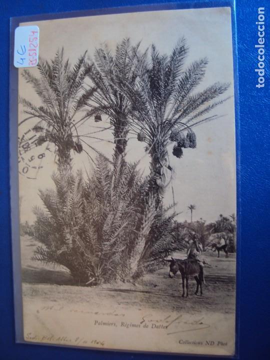 Cartoline: (PS-51254)POSTAL DE PALMIERS,REGIMES DE DATTES