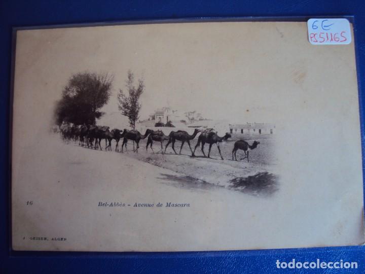 Cartes Postales: (PS-51165)POSTAL DE BEL-ABBES